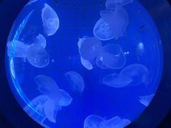 -厦门海底世界