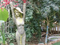 -呀路古热带植物园