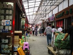 -中环花鸟鱼虫市场