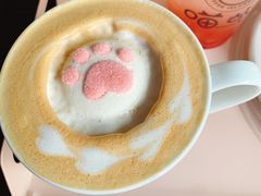 -喵屿·大理花园猫咖