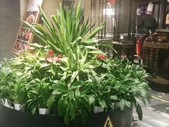 -大鸭梨烤鸭(枣园店)