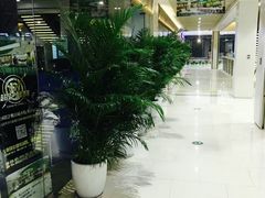 -城市猎人射箭馆(宝龙广场店)