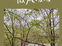 -圣典成人钢琴俱乐部(国贸旗舰校区)