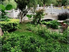 -云南省图书馆