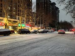 -阿五黄河大鲤鱼(纬三路店)