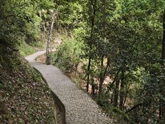 -云碧峰国家森林公园