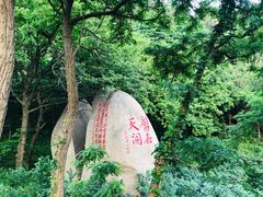 -老张烤羊(王哥庄店)