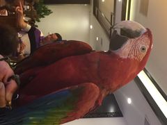 iphone_upload_pic-致美楼(前门店)