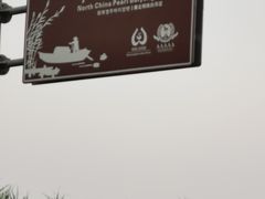 -白洋淀景区