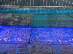 -海韵之星邮轮水会(明发商业广场店)