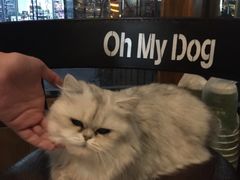 -Oh My Dog宠物沙龙(伊珊娜皮毛护理店)