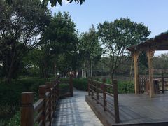 -大湾区中央湿地公园
