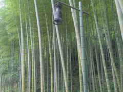 -黄公望隐居地
