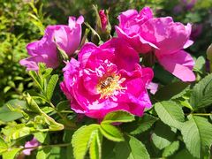 -南阳卧龙岗武侯祠