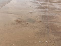 -大京沙滩