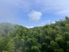 -蜀南竹海景区