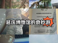 -延庆地质公园博物馆