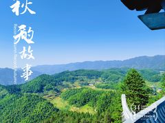 -紫鹊界梯田景区