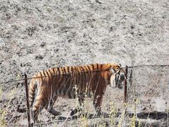 -沈阳森林动物园