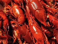 lobster-河坊美食街(河坊街店)