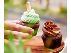 -caked(深圳购物公园店)