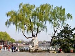 -后海公园