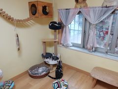 -Meowの猫咖(万家丽店)