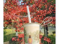 -迷客夏Milksha(合肥步行街首店)