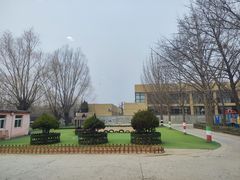 -王子岛英语幼儿园