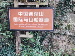 -普陀山风景区-佛顶山