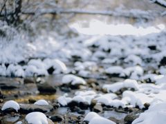 -秦岭风景区