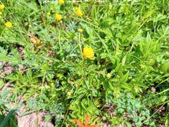 -白草畔自然风景区