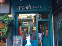 -猫咪博物馆(顶澳仔猫街店)