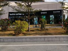 -飞凤山奥体公园