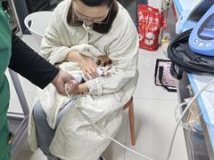 -派美特宠物医院·核磁CT·骨科肿瘤·疑难转诊(沈农禾丰店)