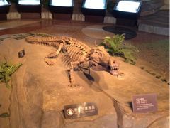 -自贡恐龙博物馆