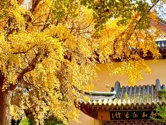 -郑和公园