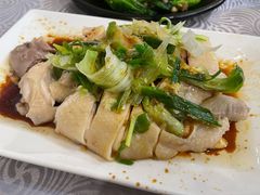 招牌葱油鸡-粤·向群饭店(龙津东路总店)