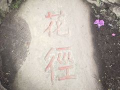 -庐山风景区花径公园