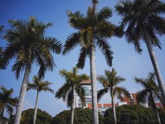 -厦门大学(思明校区)