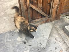 -左陕右甘(亚运村店)