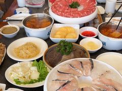 -蒙都43°9羊火锅(平庄店)