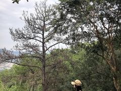 -火炉山森林公园