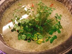 -芙蓉堂(武汉天地店)