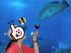 -亚特兰蒂斯•OSSIANO奥西亚诺海底餐厅
