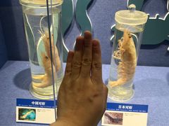 -大连市规划展示中心