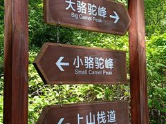 -大岭沟猕猴桃谷风景区