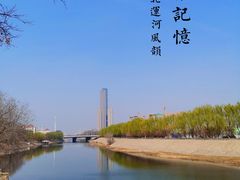 -桃花堤公园