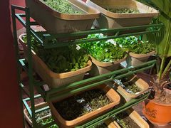 -大匠工房古船木艺术餐厅·猪肚鸡专门店(长白仙岛店)