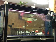 -船老大饭店(太滆街店)